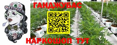 ECSTASY Нальчик