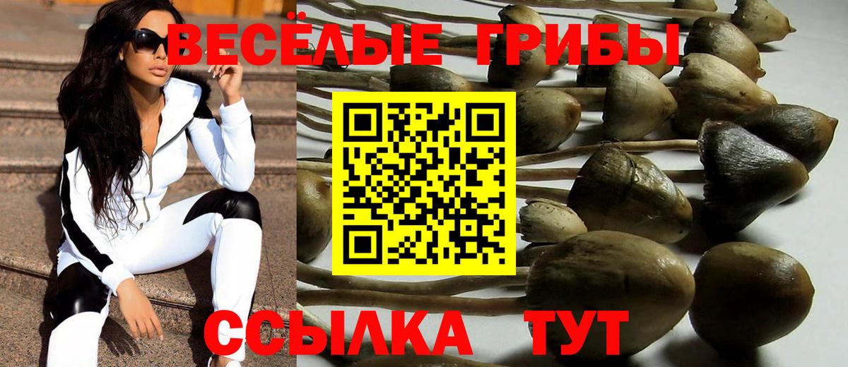 Псилоцибиновые грибы Psilocybine cubensis  Вход с VPN  как найти закладки  Сызрань  Псилоцибиновые грибы ЛСД 